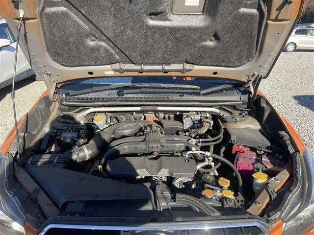 08.jpg