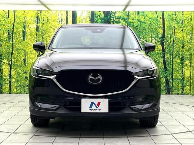 19723617_carP_l_8.jpg