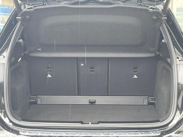 22448569_carP_l_6.jpg