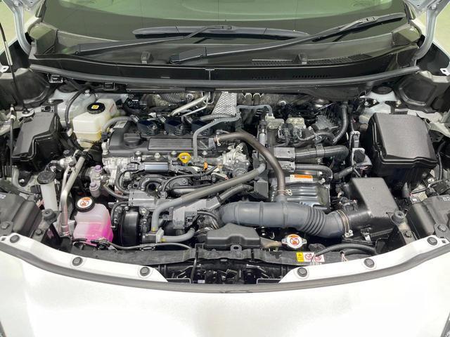 20176674_carP_l_18.jpg