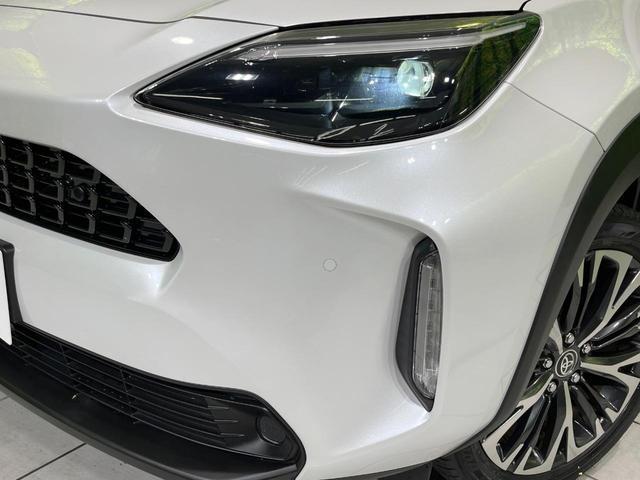 20176674_carP_l_7.jpg