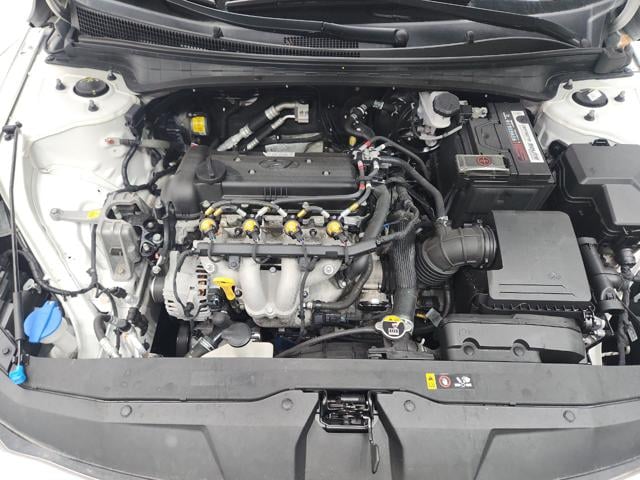 lotterental_15111996_uqfGu_4.jpg