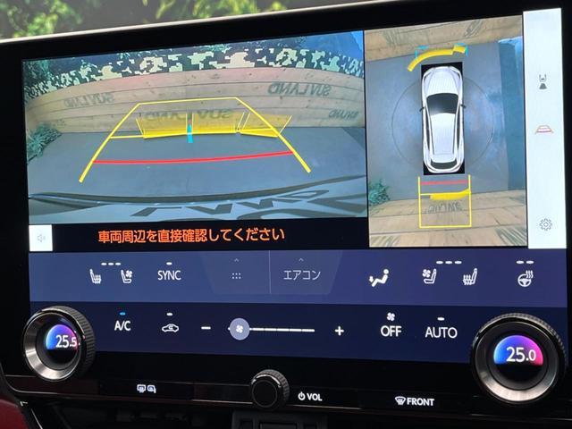 20193308_carP_l_10.jpg