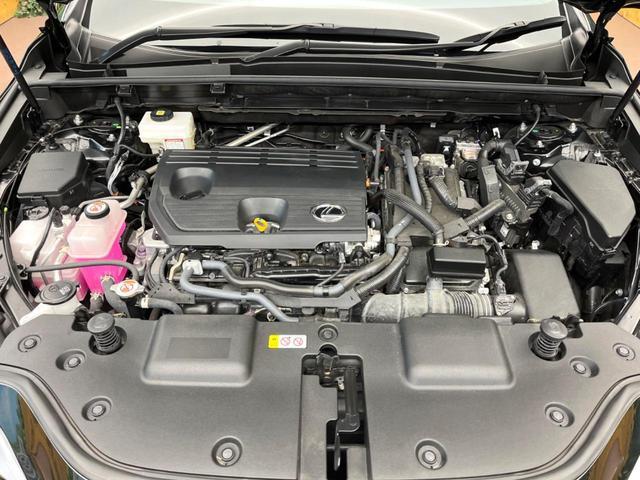 20193308_carP_l_16.jpg