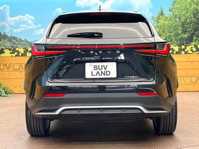 20193308_carP_l_9.jpg