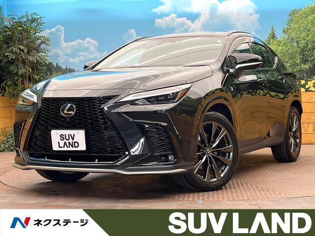 20193308_carP_l_1.jpg