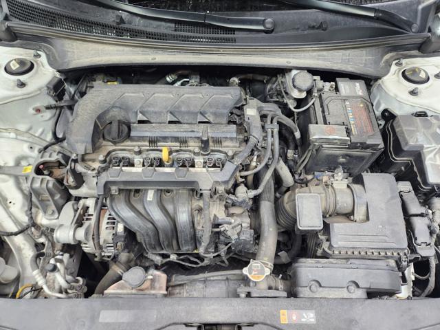 lotterental_153421640_H4x5p_3.jpg