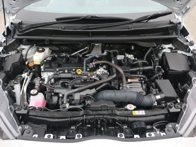 22044578_carP_l_17.jpg