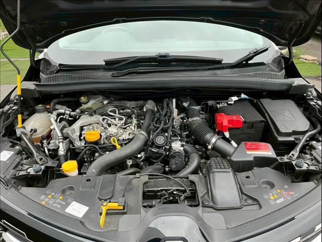 20136040_carP_l_6.jpg