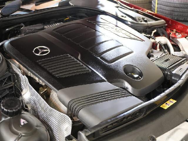 17928544_carP_l_2.jpg