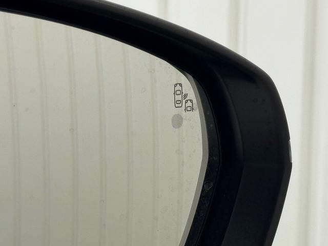 19972258_carP_l_14.jpg