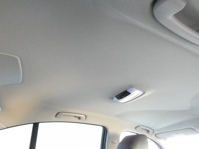 22205577_carP_l_12.jpg