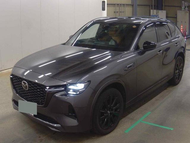 23282614_carP_l_4.jpg