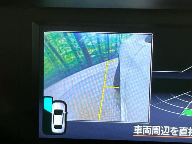 22449027_carP_l_4.jpg