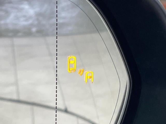 19568452_carP_l_14.jpg