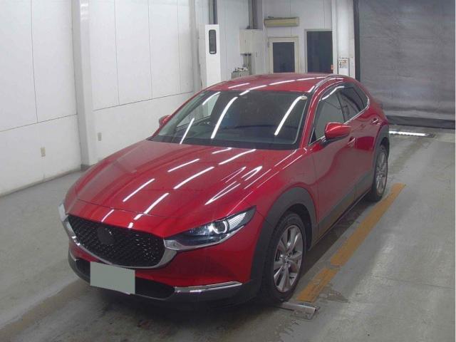 22297550_carP_l_1.jpg