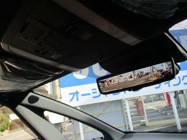 21519069_carP_l_12.jpg