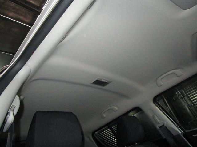 22310556_carP_l_16.jpg