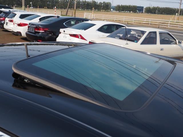 19750692_carP_l_14.jpg