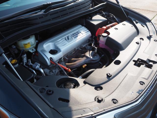 19750692_carP_l_20.jpg