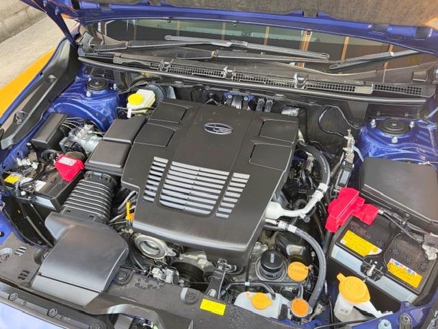 0560069A20260123W00611.jpg