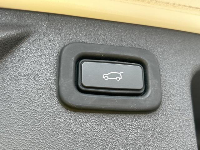22916742_carP_l_20.jpg