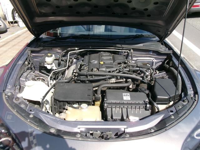 0802345A30250218W00113.jpg