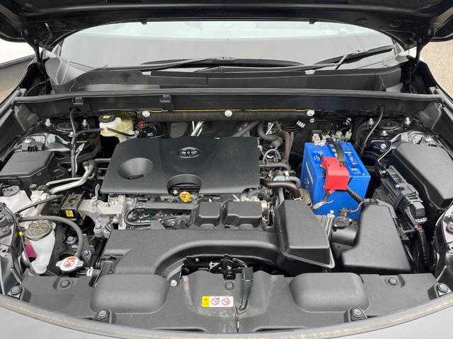 23168545_carP_l_16.jpg