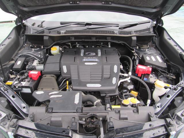 0561213A30260220W00214.jpg