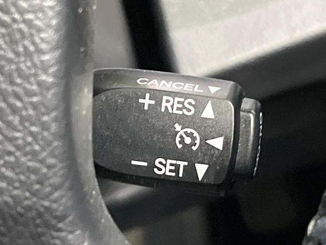 20991578_carP_l_10.jpg