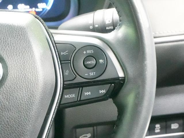 0505197A30260129W00412.jpg