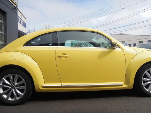 22462361_carP_l_4.jpg