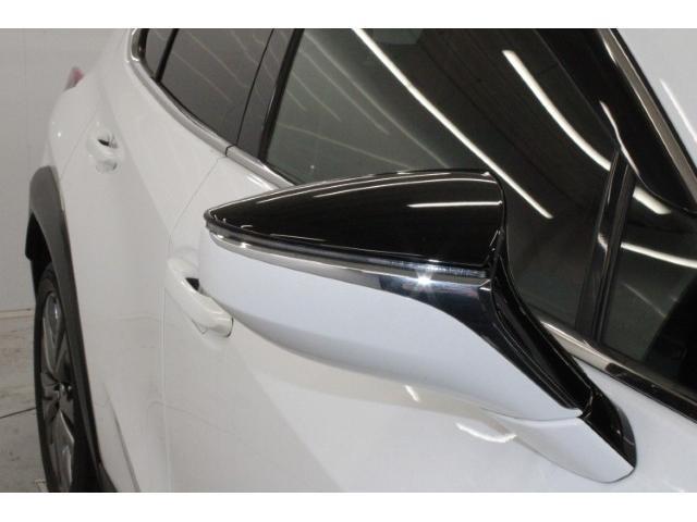 22674788_carP_l_17.jpg