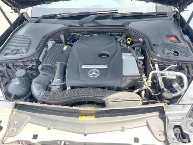 18330465_carP_l_18.jpg