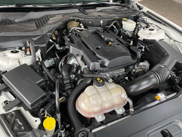 0709223A30260111W00119.jpg