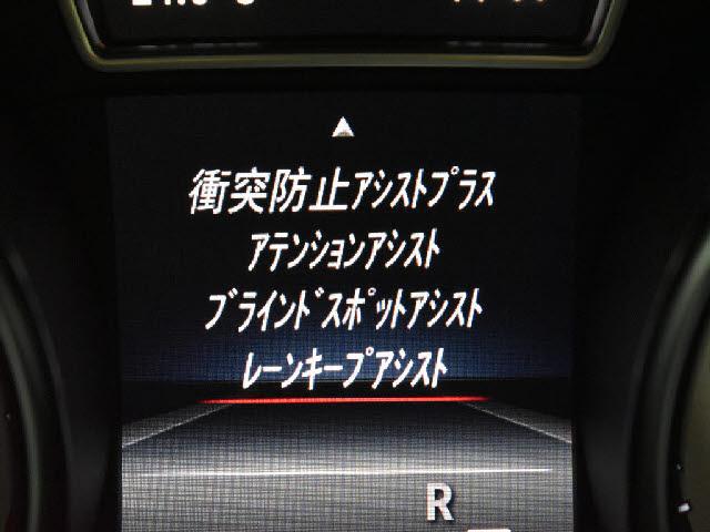 20235986_carP_l_14.jpg