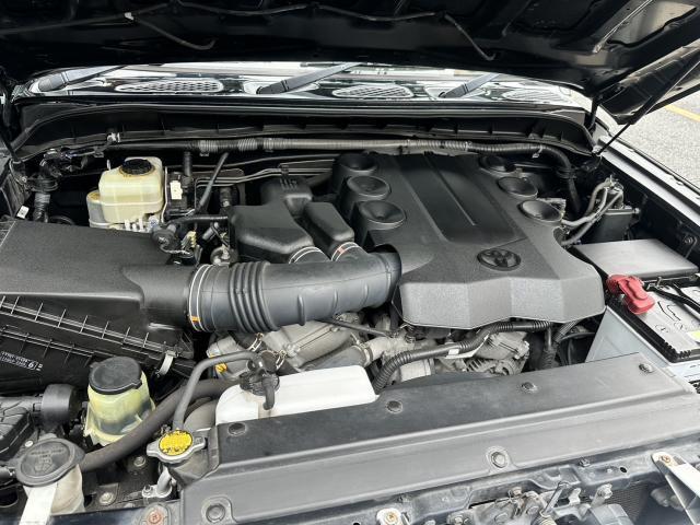 21896459_carP_l_13.jpg