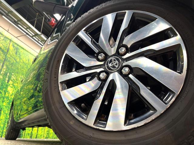 22562701_carP_l_7.jpg