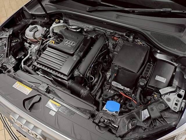 22519741_carP_l_9.jpg