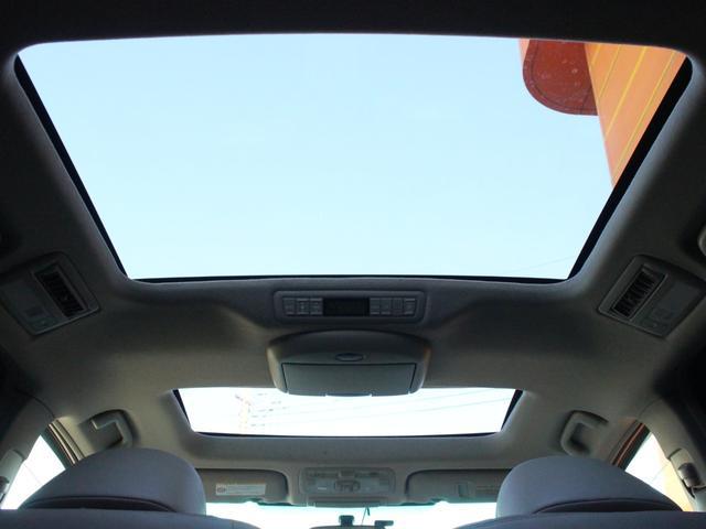 0520029A30260131W01503.jpg