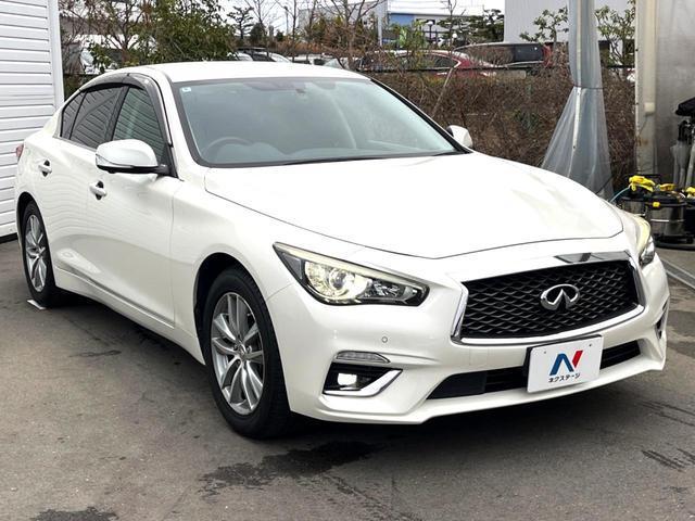 22526178_carP_l_11.jpg