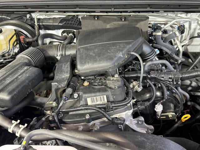 19692483_carP_l_16.jpg