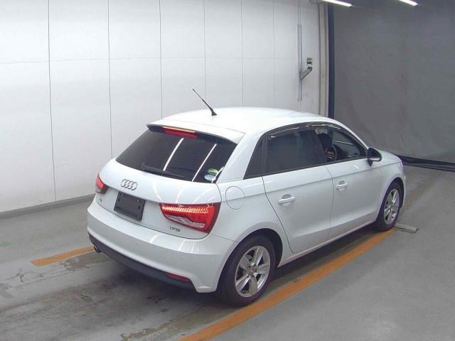19945662_carP_l_3.jpg