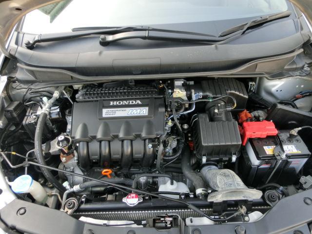 0540946A30260228W00219.jpg