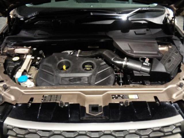 adf81cc5fed5e8fa7488784851e6af33.jpg