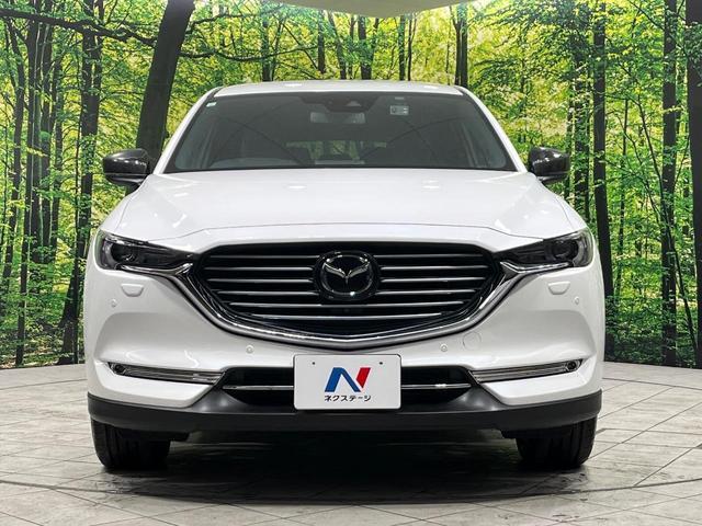 22506277_carP_l_11.jpg