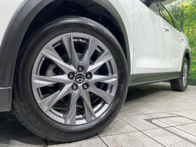 22506277_carP_l_9.jpg
