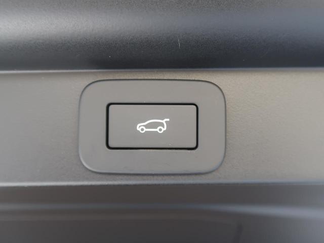 22132511_carP_l_12.jpg