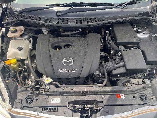 e1371a23fca25ffd56165a69f242d07c.jpg