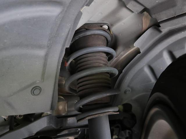 21689790_carP_l_20.jpg